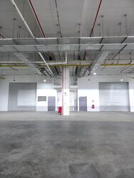 Ct Foodnex (D25), Factory #586602251